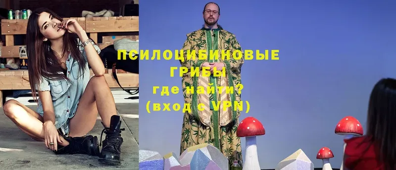 Псилоцибиновые грибы Magic Shrooms  hydra как зайти  Севск 